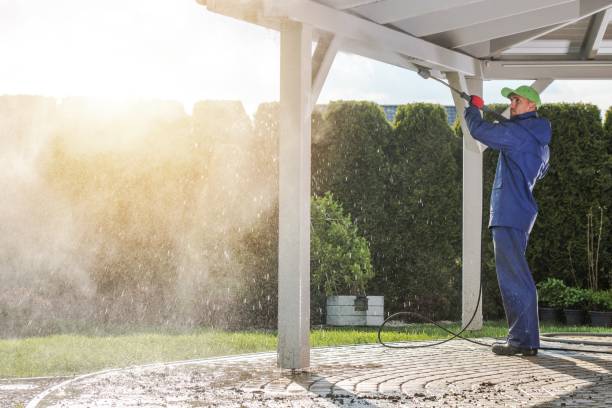 Best Warehouse Cleaning  in Waynesboro, TN